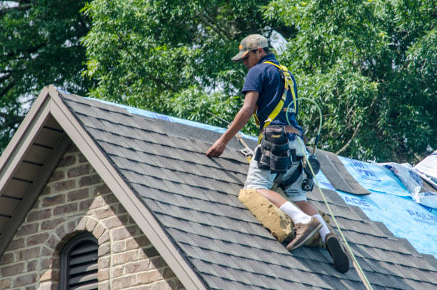 Best Gutter Installation and Roofing  in Jessup, PA